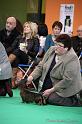 Crufts2011_2 1101